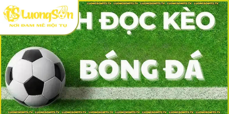 QQ88 hướng dẫn cách đọc tỷ lệ bóng đá QQ88 hướng dẫn cách đọc kèo tỷ lệ bóng đá