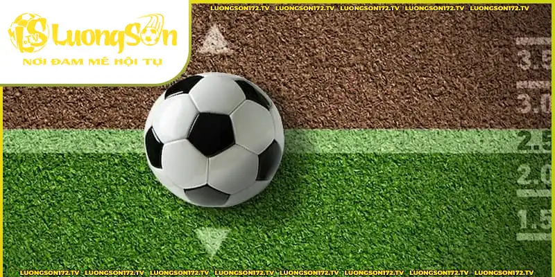 Những điểm nổi trội của đơn vị Những điểm nổi trội của đơn vị