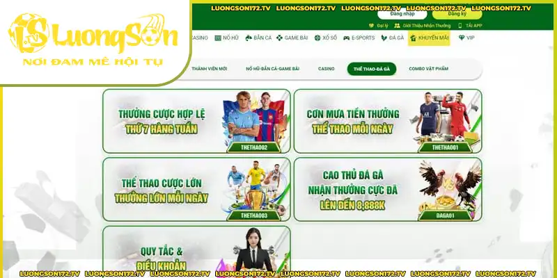 Tận dụng các tiền thưởng tại nhà cái Tận dụng các tiền thưởng tại nhà cái